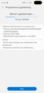 Screenshot_20190531-044024_Software update.jpg
