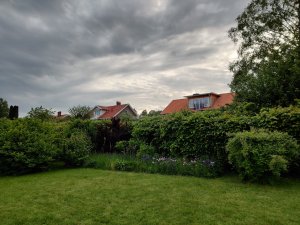 IMG_20190603_192140.jpg