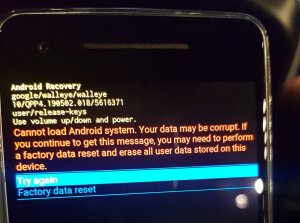 betabugg.jpg