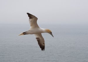 20190606_202726.jpg