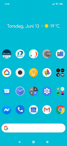 Screenshot_2019-06-13-13-49-49-969_com.teslacoilsw.launcher.png