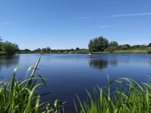 IMG_20190614_144834.jpg