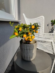 IMG_20190614_181519.jpg