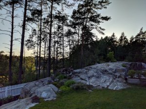 IMG_20190615_204217.jpg