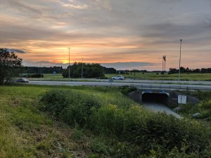 IMG_20190616_215519.jpg