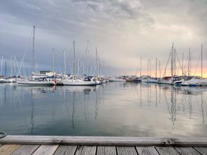DSC_0037.JPG