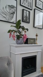 IMG_20190617_221343.jpg