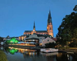 IMG_20190618_003254.jpg