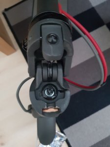 20190702_103735.jpg