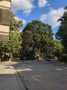 IMG_20190718_172407.jpg