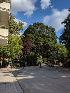 IMG_20190718_172418.jpg