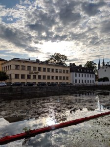 IMG_20190718_185117.jpg