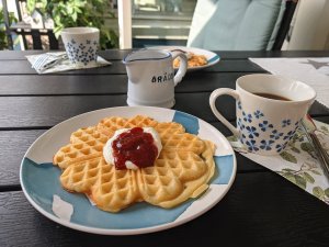 IMG_20190720_104727.jpg
