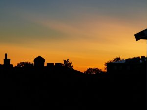 IMG_20190724_222221.jpg