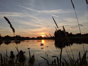 IMG_20190713_212204.jpg