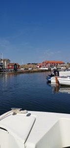 IMG_20190725_162119.jpg