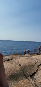 IMG_20190726_130213.jpg
