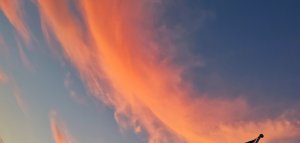 IMG_20190727_215825.jpg