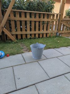 IMG_20190803_203302.jpg