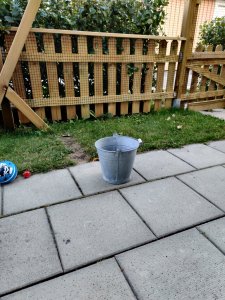 IMG_20190803_203318.jpg