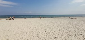 IMG_20190804_145758.jpg