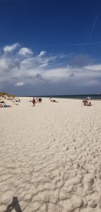 IMG_20190804_145738.jpg