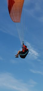 IMG_20190805_110520.jpg