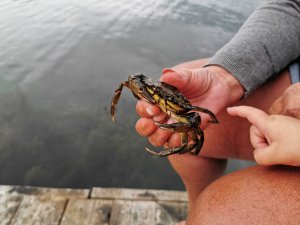 IMG_20190805_193641.jpg