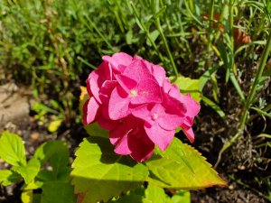 20190809_122218.jpg