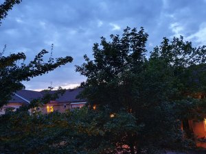 20190806_212816.jpg