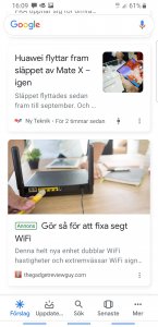 Screenshot_20190815-160950_Google.jpg