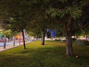 20190820_234400.jpg