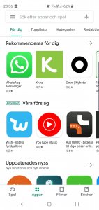 Screenshot_20190821-233604_Google Play Store.jpg