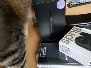 20190823_165004.jpg
