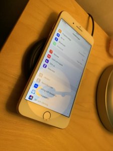IMG_0049.jpeg