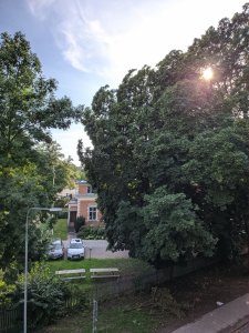 IMG_20190826_171244.jpg