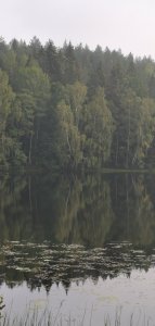 IMG_20190829_093156.jpg