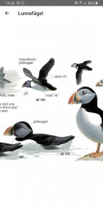 Screenshot_20190830-195608_Bird Guide.jpg
