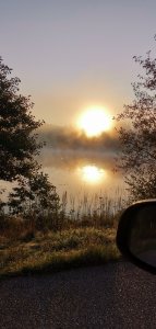 IMG_20190908_070725.jpg