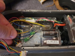 2019-09-10 (1).jpg