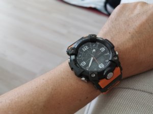 IMG_20190916_133930.jpg