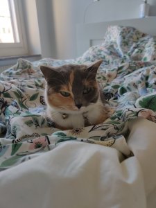 IMG_20190919_155624.jpg