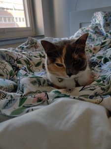 IMG_20190919_155709.jpg