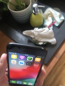 82F45AE2-5D14-41B7-B5AC-3D02C836FCE8.jpeg
