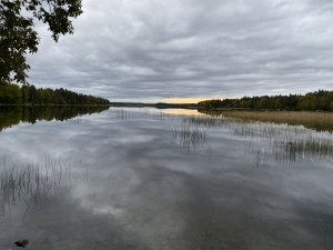 3032CA95-D439-4F5E-993A-1424F5BC0DF9.jpeg