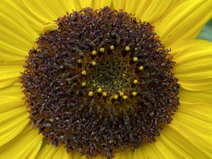 2A627817-5651-4199-B5F5-C273DE572609.jpeg