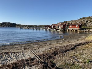 IMG_0252.jpg