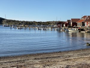 IMG_0253.jpg