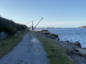 IMG_0254.jpg