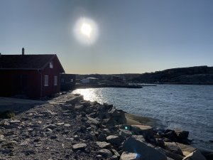 IMG_0256.jpg